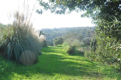 Quinta do Bom Vento