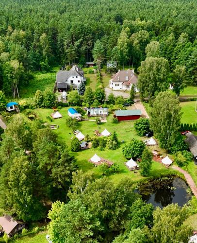 A szálláshely kívülről, Tree House Fluffy Horns - Namiņš Kokos Pūkainie Ragi (Tree House Fluffy Horns - Namins Kokos Pukainie Ragi) in Kesterciems