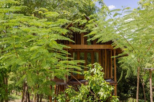 Payana Kampot Room Type - Villa with Garden View