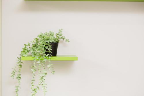 Home Sofia Room 3 -Love Couples -By EasyLife Swiss Room Type - One-Bedroom Apartment