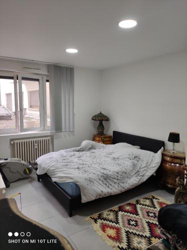 Murat appartement 1 chambre double, Strasburgo (foto 2)