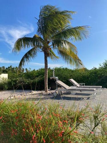 Luxe villa op Coral Estate 1 min lopen van zee in Willibrordus