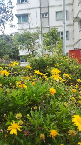 A ONE Holiday Apartment-Quintet A ONE Holiday Apartment-Quintet