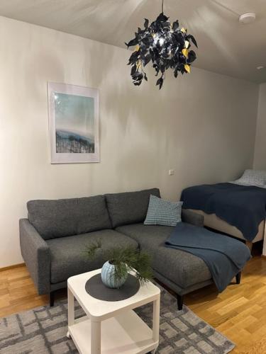 Studio Sini in Ahkiomaa