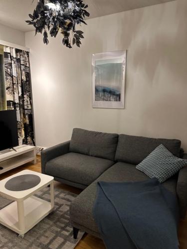 Studio Sini in Ahkiomaa