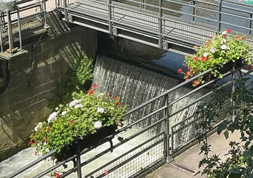 Appartement lumineux Classé au cœur de Strasbourg, Strasburgo (foto 2)