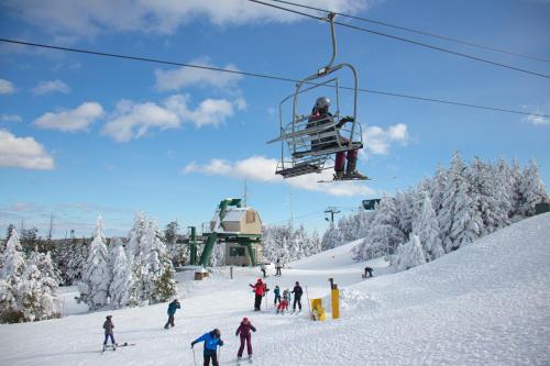 ML278 Mountaintop Retreat Near Village And Trails WiFi Parking in Snowshoe, USA