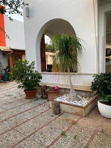 Holiday & House - Imparato Carini Costa Verde, Carini (zdjęcie 6)