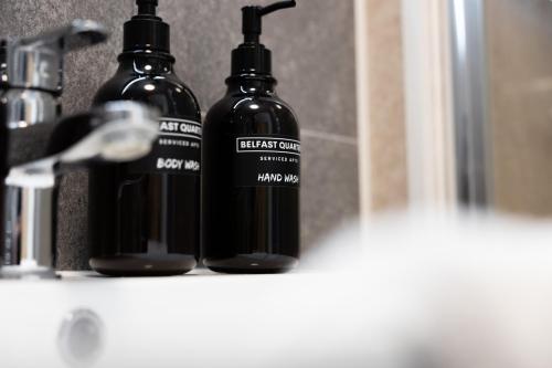 Belfast Quarters - Albert clock