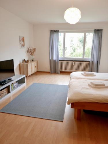 Gemütliche Wohnung Nähe Uni, Basilea (foto 5)