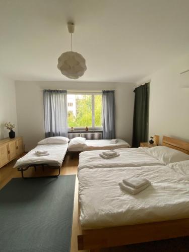 Gemütliche Wohnung Nähe Uni, Basilea (foto 2)