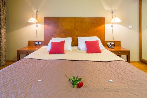 The Golden Wheel Hotel, Praga (foto 3)