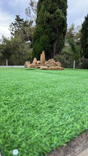 Hotel Sotiris Superior Apartments - image 2