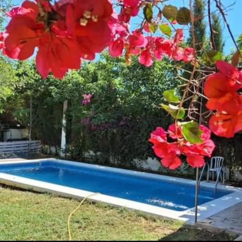 Family villa with pool in San José del Valle - 120 m² gîte à louer San José del Valle