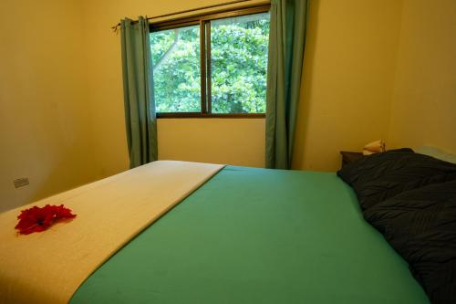 Casa Rilla - Big Creek, Isla Colon