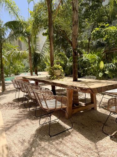 Jungle Chic Suites by Marea - Tap to explore photos