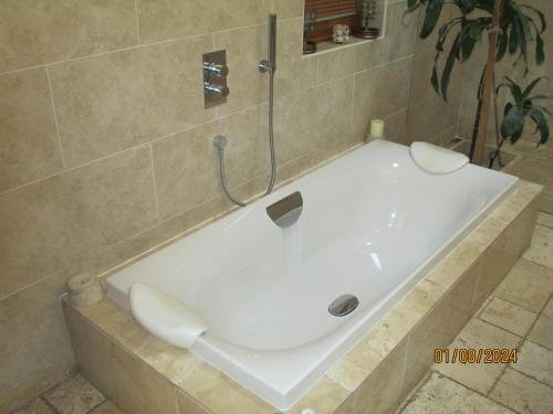 BADGERS HOLLOW BADGERS HOLLOW