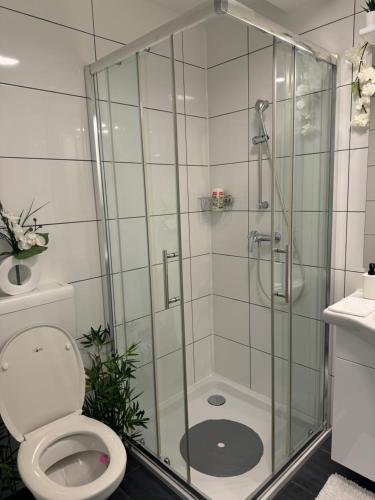 Eine schöne Wohnung bei der Erlenmatte, Basel (photo 10)