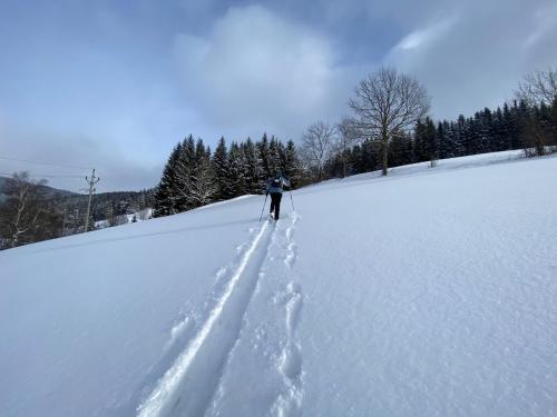Apartmán v srdci Krkonoš Apartmán v srdci Krkonoš