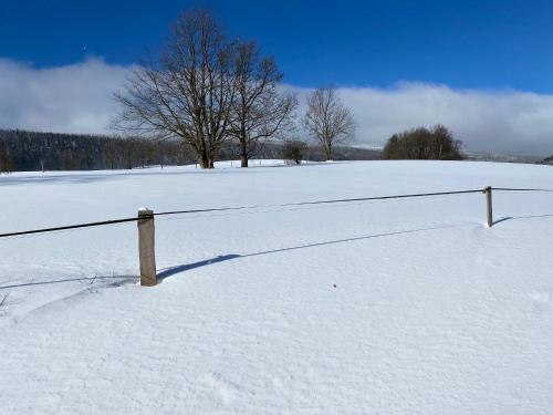 Apartmán v srdci Krkonoš Apartmán v srdci Krkonoš