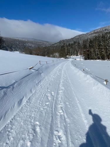 Apartmán v srdci Krkonoš Apartmán v srdci Krkonoš