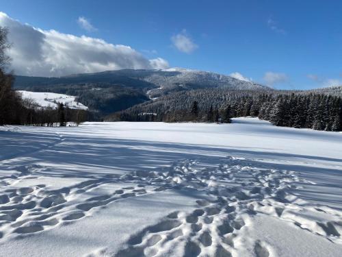 Apartmán v srdci Krkonoš Apartmán v srdci Krkonoš