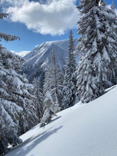 Apartmán v srdci Krkonoš Apartmán v srdci Krkonoš