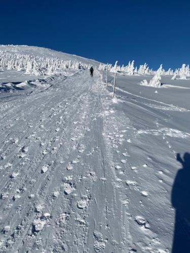 Apartmán v srdci Krkonoš Apartmán v srdci Krkonoš