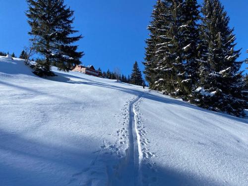 Apartmán v srdci Krkonoš Apartmán v srdci Krkonoš