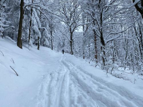 Apartmán v srdci Krkonoš Apartmán v srdci Krkonoš