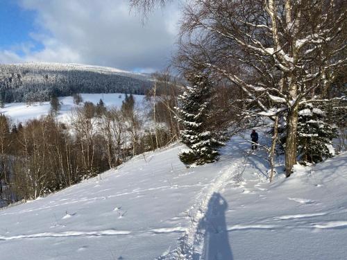 Apartmán v srdci Krkonoš Apartmán v srdci Krkonoš