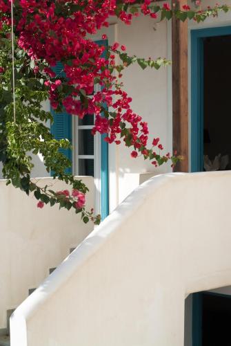 Andros Maisonettes - image 13