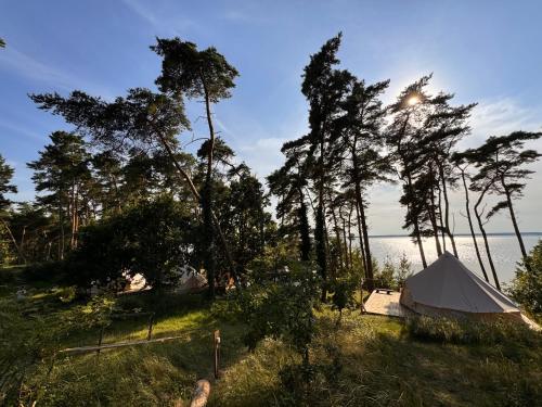 Glamping Lodges Red Woods Usedom Glamping Lodges Red Woods Usedom