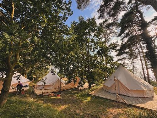 Glamping Lodges Red Woods Usedom Glamping Lodges Red Woods Usedom