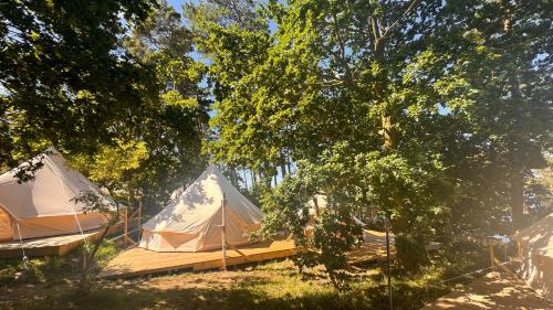 Glamping Lodges Red Woods Usedom Glamping Lodges Red Woods Usedom