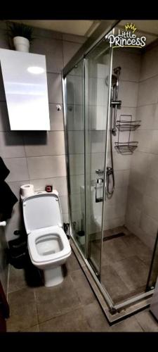 Little Princess Apartment, Skopje (fotografie 11)