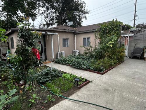 garden with Iron Gate, East Los Angeles in El Monte, USA