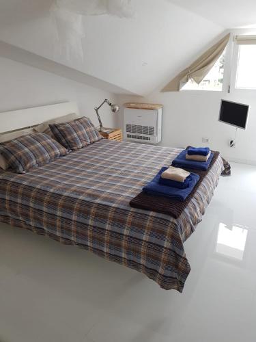 Roma - Casalpalocco - Amipsia