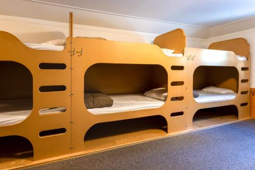 Single Bed in Female Dormitory Room