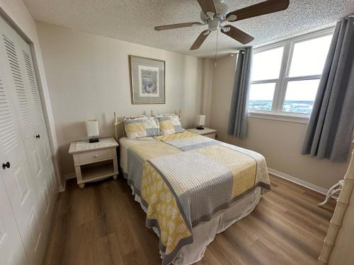 Sand Dollar 3-405 - image 27