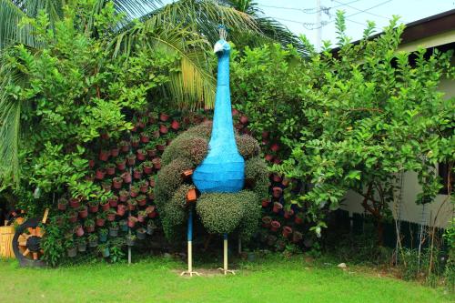 MaClare Resort - 정원
