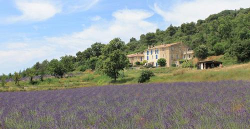 Domaine De Bertrandy chambre d'hôte Montagnac-Montpezat