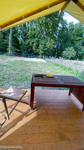 Spokojny Glamping in Rzucewo