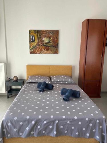 Belvedere 3 - Studio, Drama (foto 6)