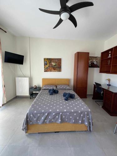 Belvedere 3 - Studio, Drama (foto 7)