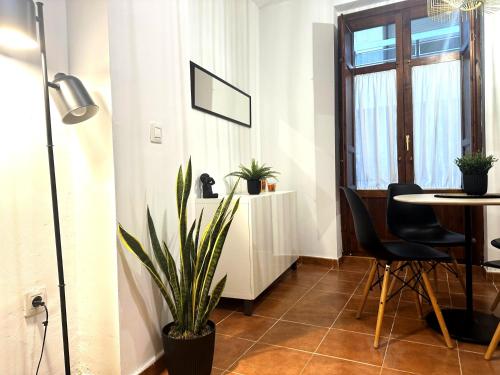 One-Bedroom Apartment image 2