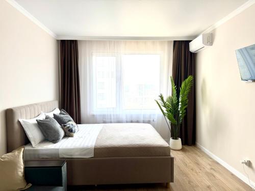 Easy Apart, Taldykolʼ (fotografie 8)