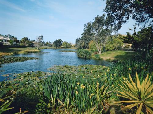 مناطق جذب قريبة, Orewa New house with view on deck near Cafe,bush & river in أوريوا