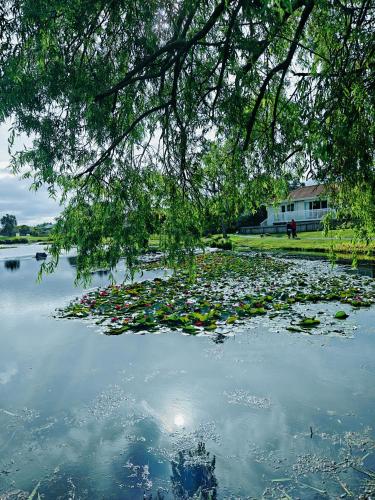 المنطقة المحيطة, Orewa New house with view on deck near Cafe,bush & river in أوريوا