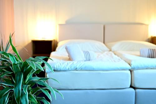 Hotel Classic in Харачов